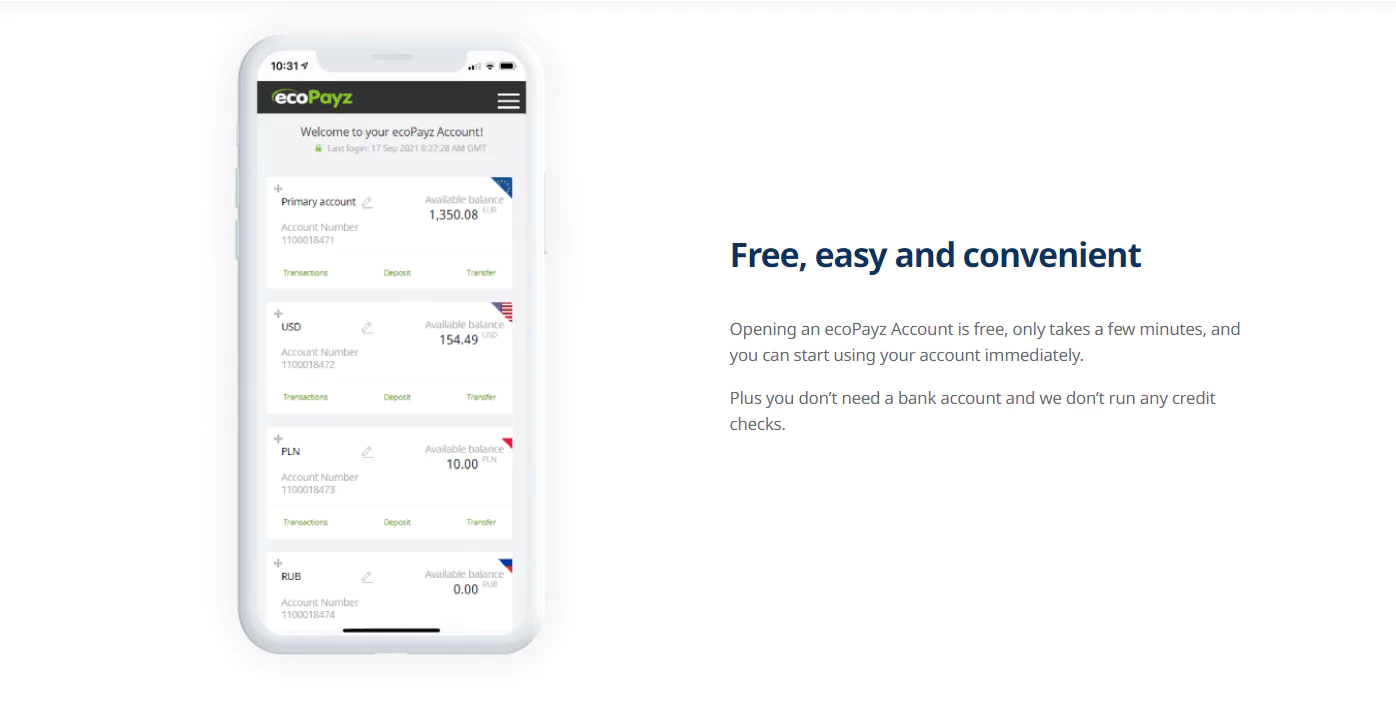 EcoPayz Payment System - screenshot from official website